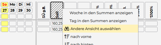 Datei:Handbuch Dienstplaner 1749564177849.png