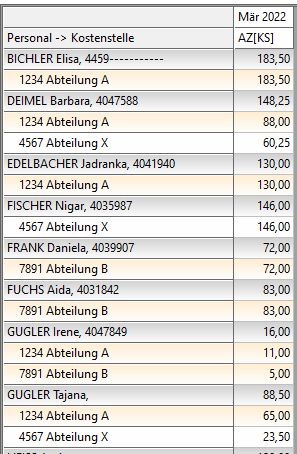 Datei:Kost Report4.png