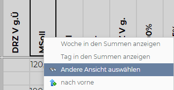 Summenansicht.png