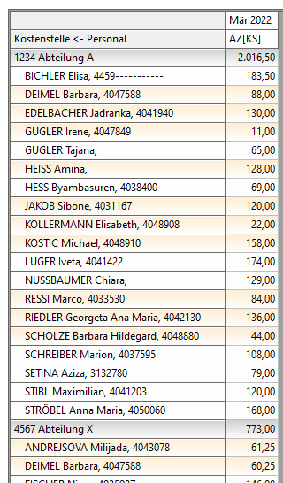Datei:Kost Report6.png