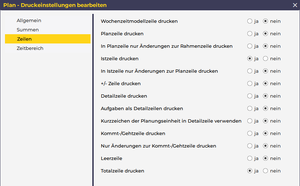 Druckeinstellungen 1749558783389.png