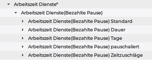 Arbeitszeit Dienste* 1682683723035.png