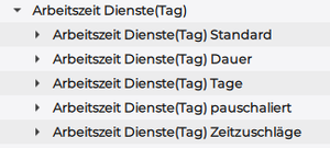Arbeitszeit Dienste* 1683033751806.png