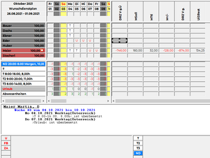 Wunschdienstplan Speichern Fehlermeldung Gesamtansicht.png