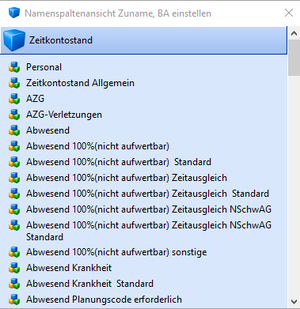 Namensspaltenansicht parameter auswählen.png