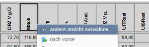 Summenansicht ändern.PNG
