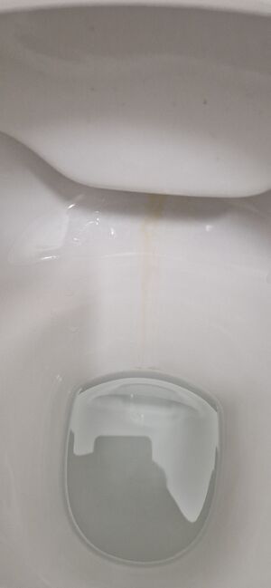 WC - Kalkränder.jpg