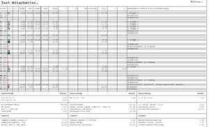 Lohnarten am Stdnw.PNG