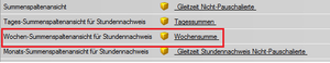 Stundennachweis Wochensummen Parameter.png