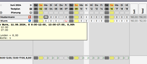 Bildschirmeinstellungen QML Fadenkreuz Dienstplan.png