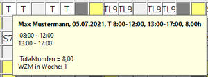 Tooltip Dienst Jahresplanansicht.png
