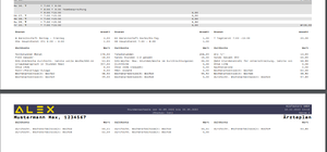 Stundennachweis Seitenumbruch 1668078703504.png