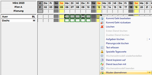 Vorlage-Dienste Beispiel Muster uebernehmen.png
