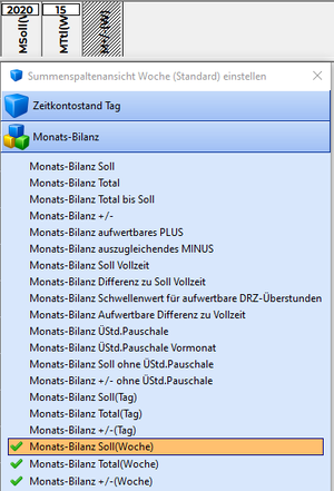 Wochenansicht-Standardsummen.png