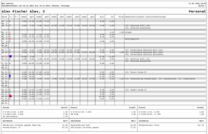 Stundennachweis alt.png
