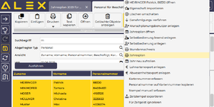Jahresplan für einen Mitarbeiter auf einer Seite 1750767541949.png