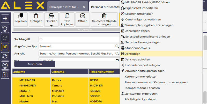 Datei:Jahresplan für einen Mitarbeiter auf einer Seite 1750767541949.png